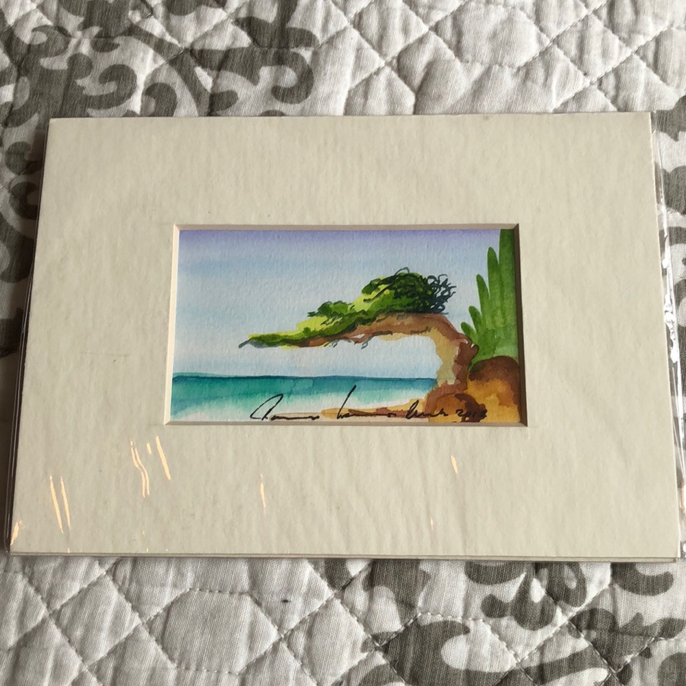 Watercolor of Aruba tree new
